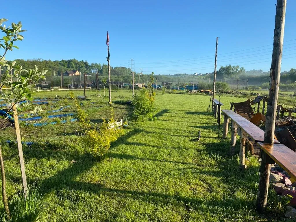 Junior paintball w Arenie Mocy